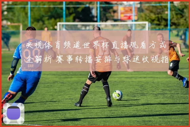 央视体育频道世界杯直播观看方式全解析 赛事转播安排与球迷收视指南
